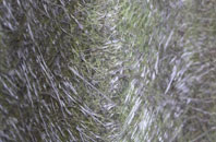 Yardhurst fibreglass roof work